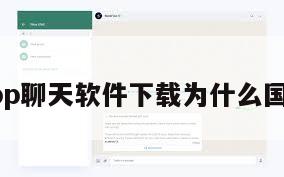 纸飞机app聊天软件下载为什么国内用不了